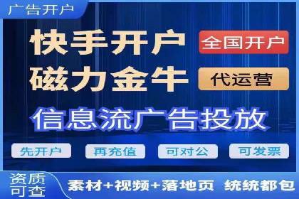 SEM竞价实战：成功案例解析